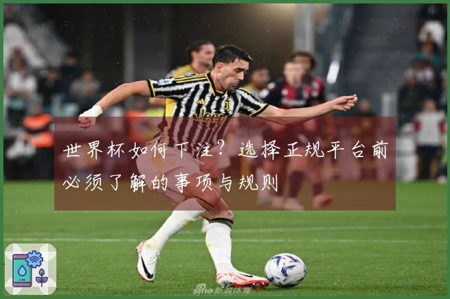 世界杯如何下注？选择正规平台前必须了解的事项与规则