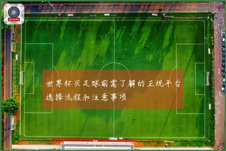 世界杯买足球前需了解的正规平台选择流程和注意事项