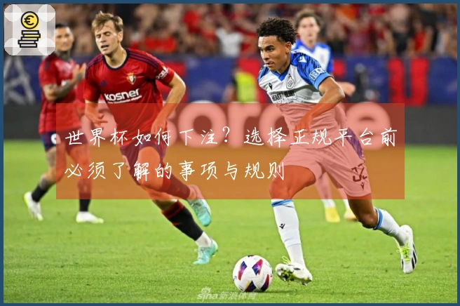 世界杯如何下注？选择正规平台前必须了解的事项与规则