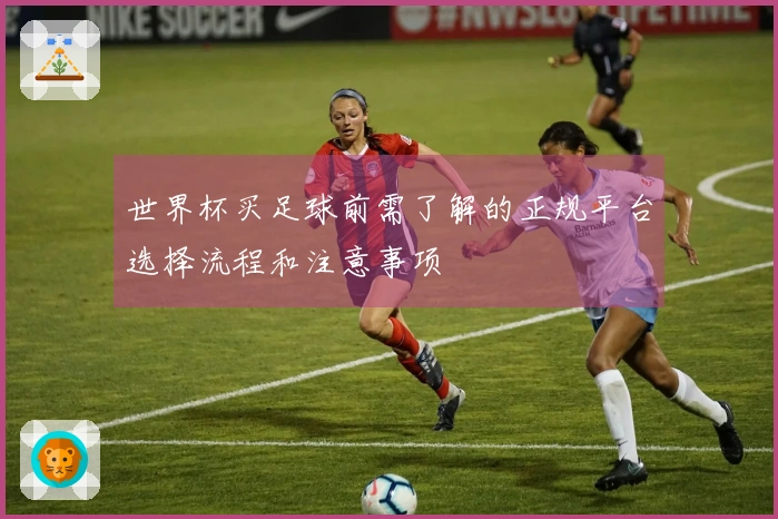 世界杯买足球前需了解的正规平台选择流程和注意事项